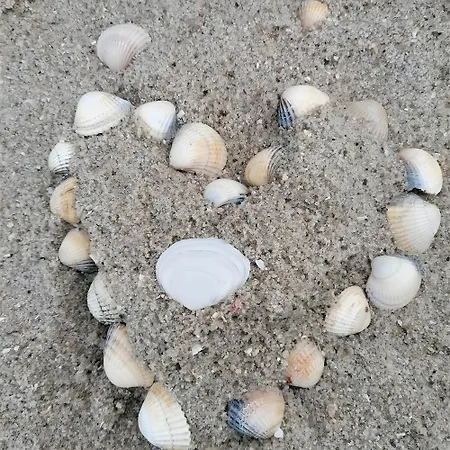 Strandgut