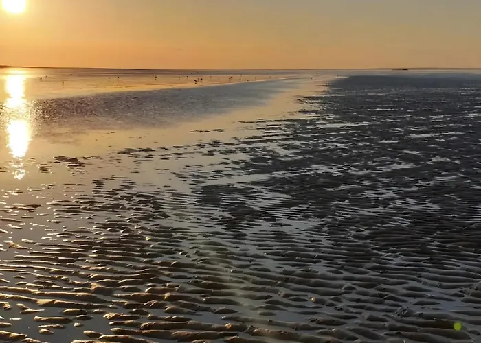 Strandgut * Horumersiel